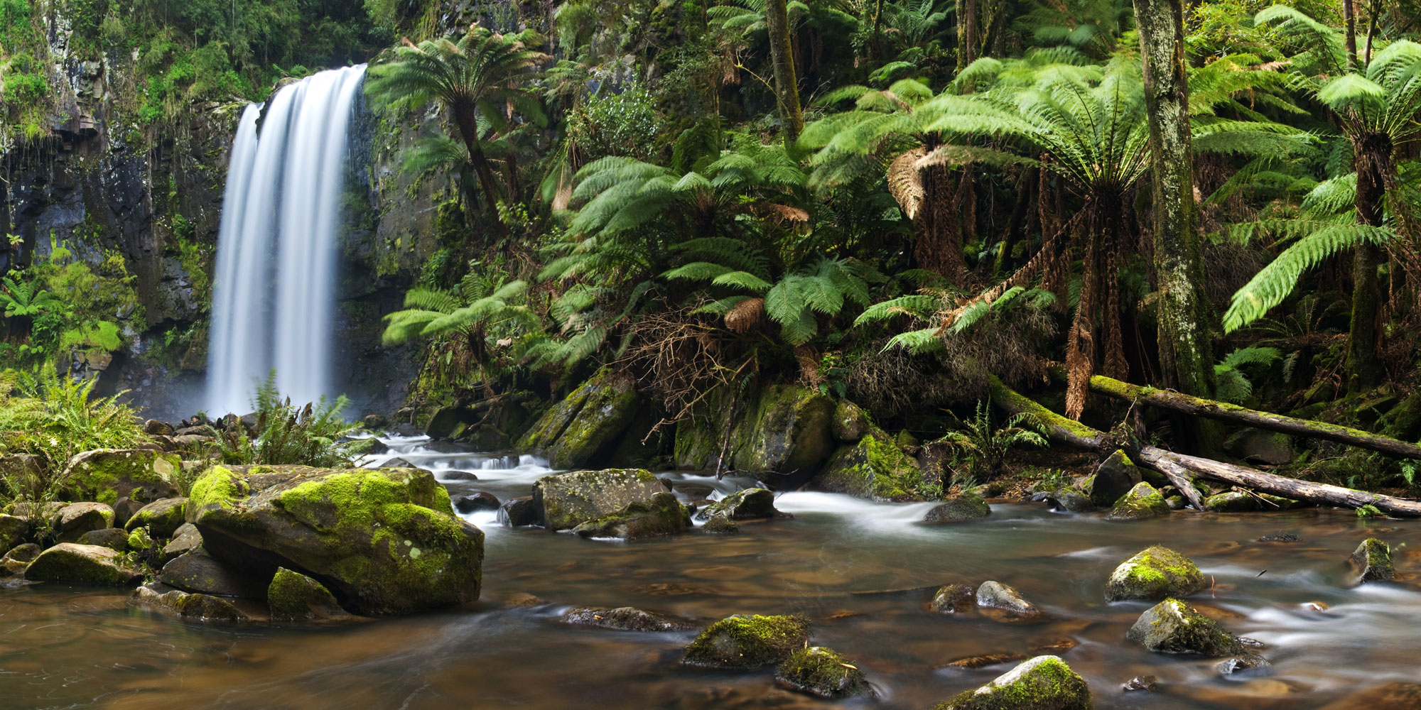 Lorne Attractions | Lorne Victoria Otways and Great Ocean Road