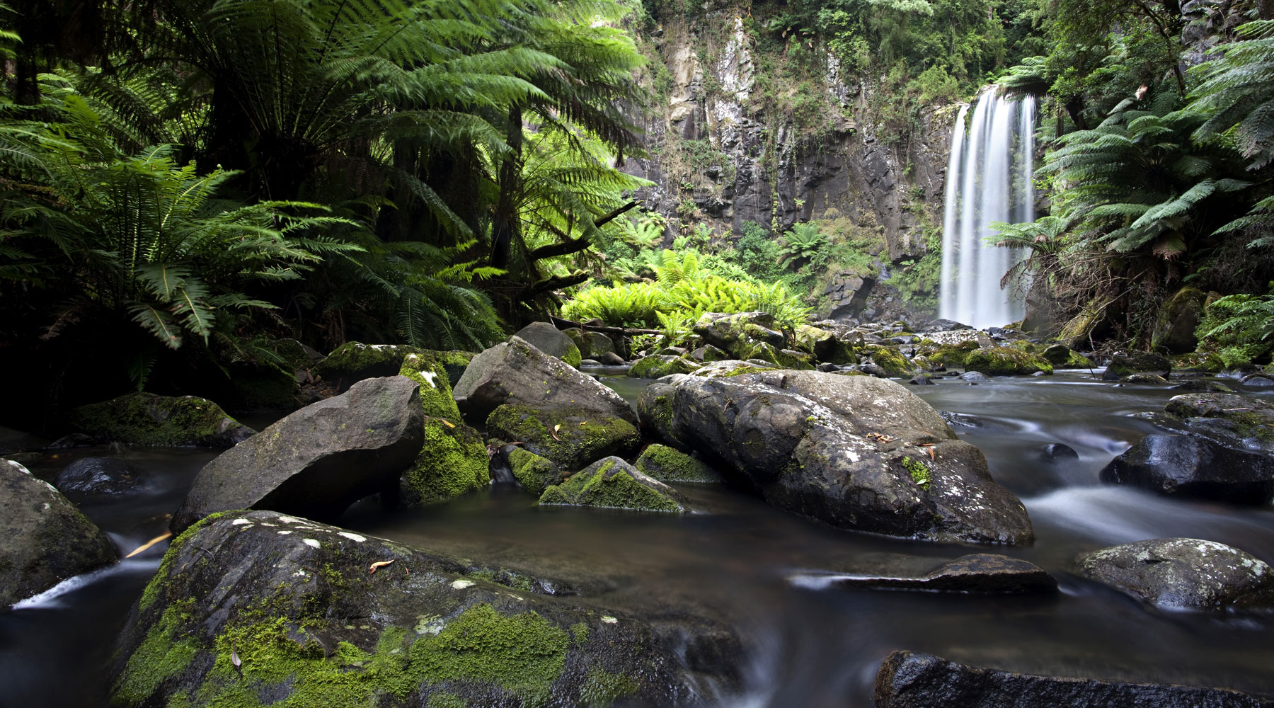 Otways Waterfalls - Lorne Hinterland Attractions Great Ocean Road