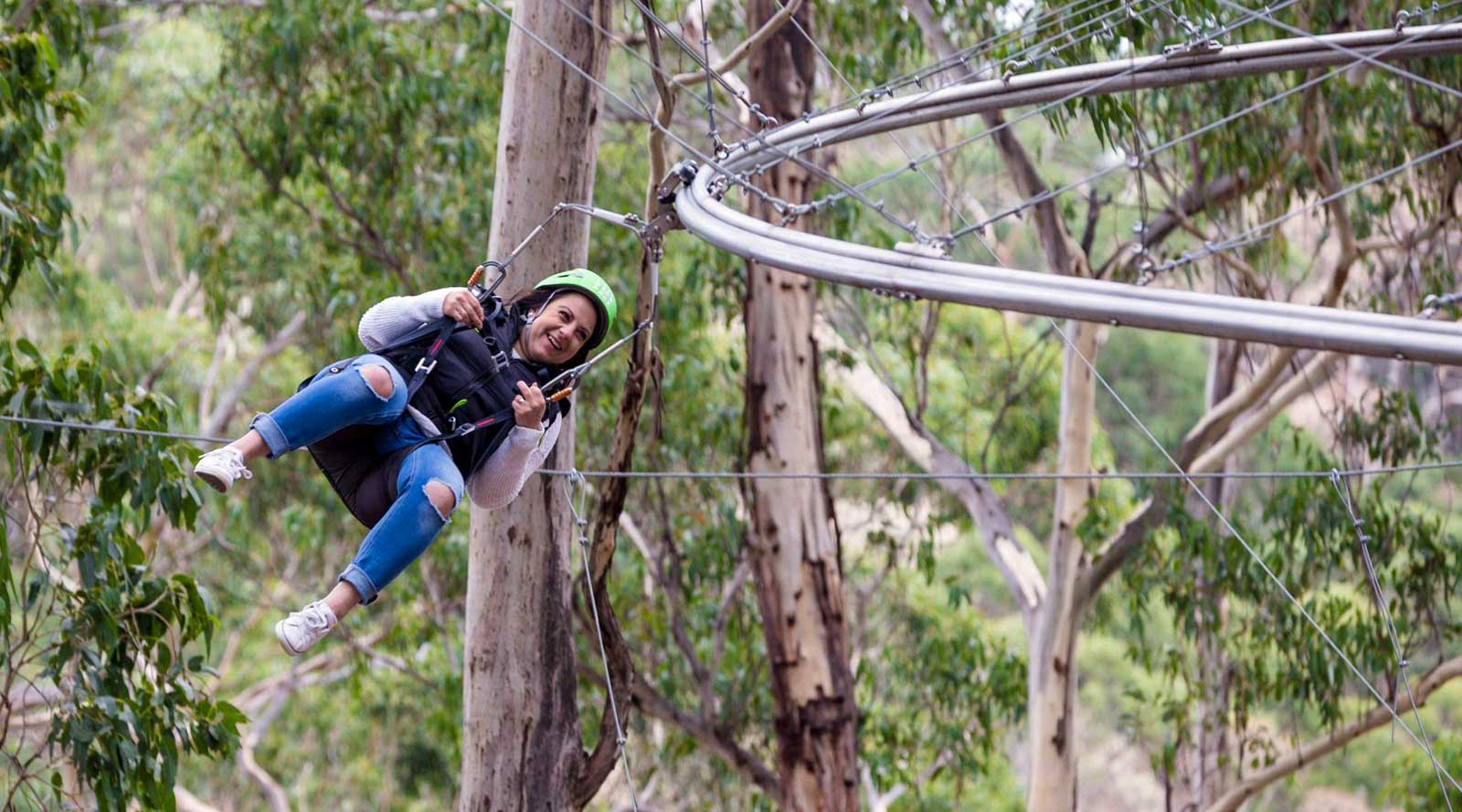 Live Wire Park  Lorne Tours and Attractions In The Lorne Hinterland